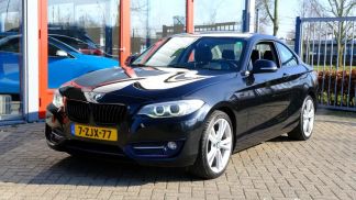 Lízing Kupé BMW 220 2015