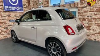 Leasing Hayon Fiat 500 2020