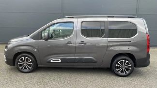 Leasing Hayon Citroën Berlingo 2019