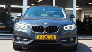 Lízing Kupé BMW 220 2014