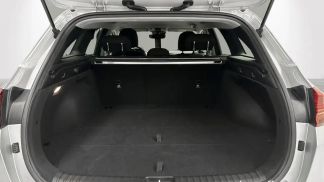 Leasing Wagon Kia CEED SW / CEE'D SW 2024