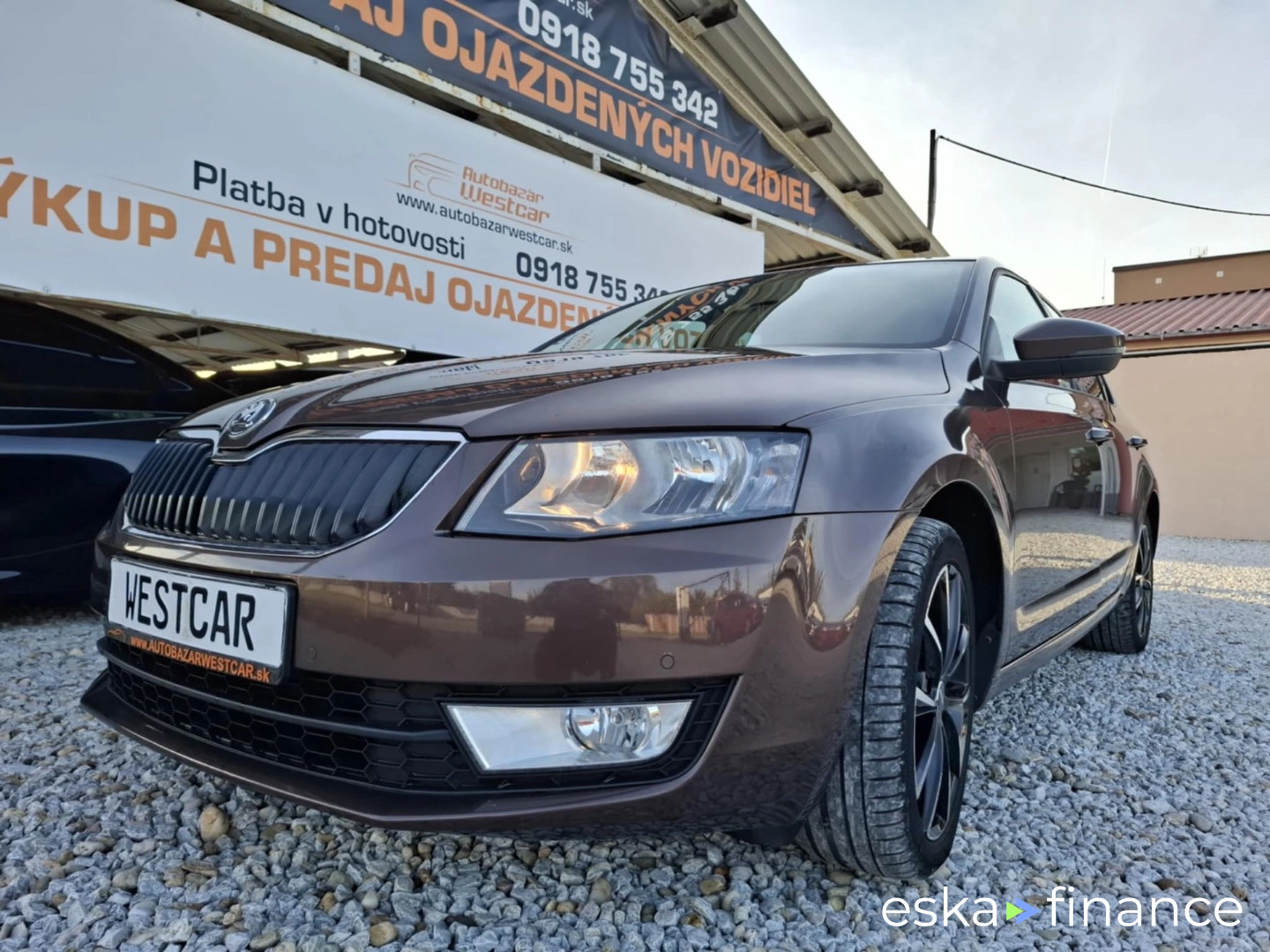 Leasing Sedan Skoda Octavia 2014