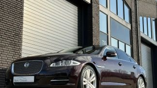 Leasing Sedan Jaguar XJ 2010