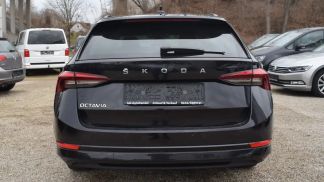 Finansowanie Sedan Skoda Octavia 2021