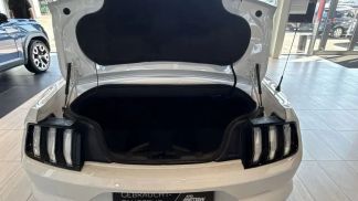 Leasing Convertible Ford Mustang 2022
