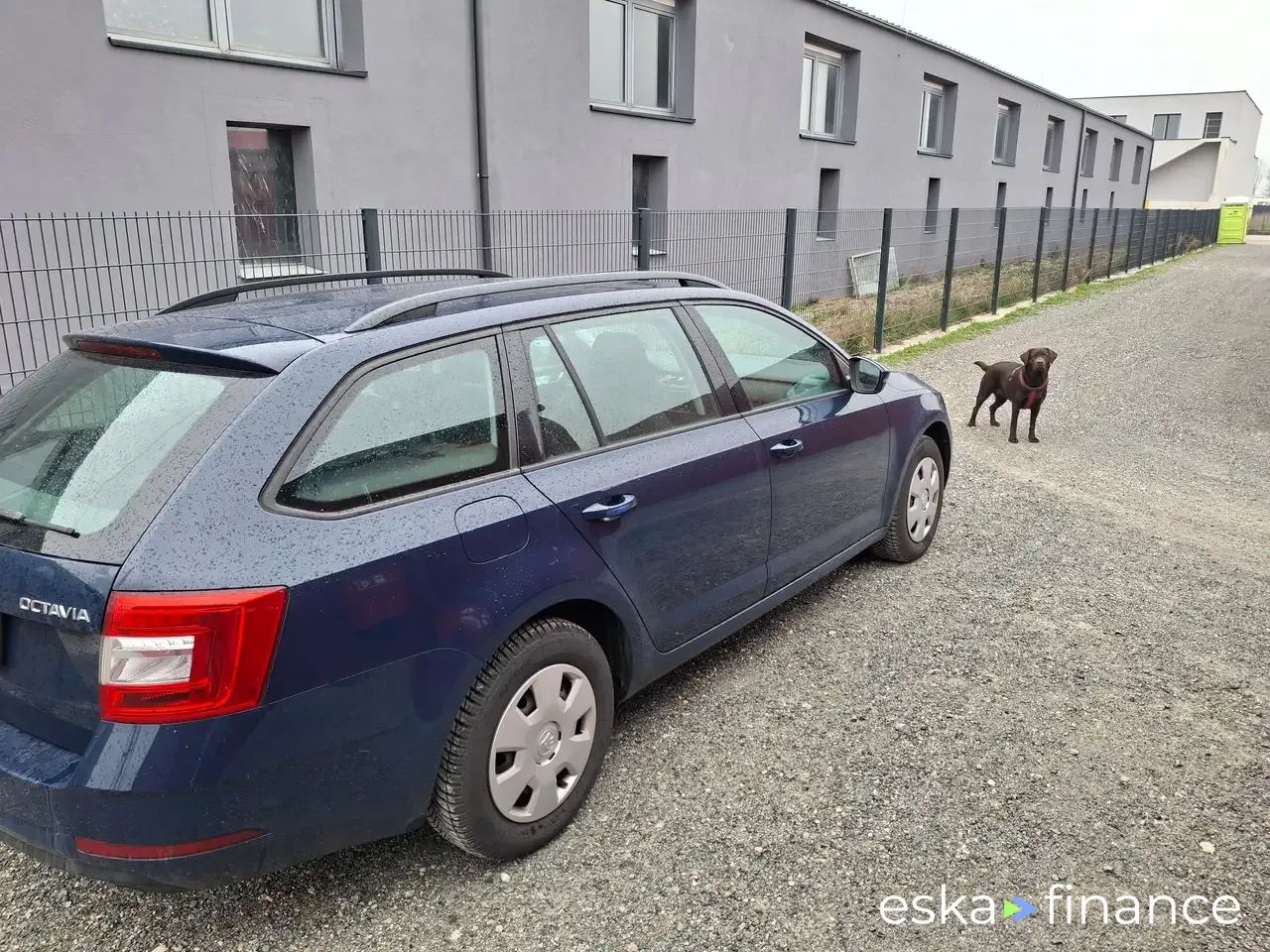 Leasing Wagon Skoda Octavia 2017