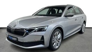 Leasing Wagon Skoda Octavia 2024