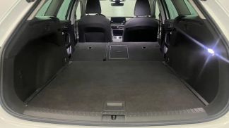 Leasing Wagon Seat Leon 2023