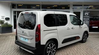 Leasing Hatchback Citroën Berlingo 2019