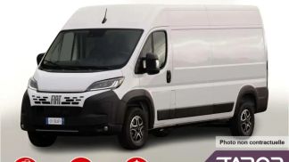 Leasing Le transport des passagers Fiat Ducato 2024