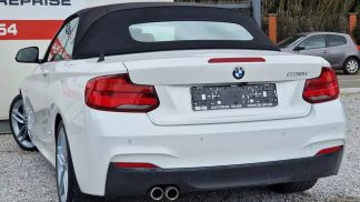 Leasing Convertible BMW 230 2018