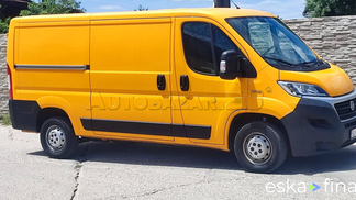 Lízing Van Fiat Ducato 2019