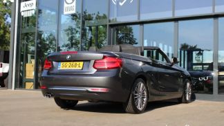 Financování Konvertibilní BMW 220 2018