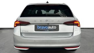 Leasing Wagon Skoda Octavia 2024
