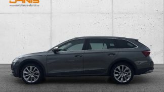 Leasing Wagon Skoda Octavia 2022