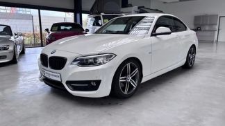 Lízing Kupé BMW 220 2016