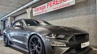 Lízing Kabriolet Ford Mustang 2020