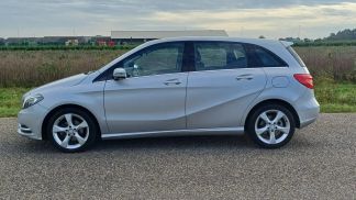 Transport pasażerów MERCEDES B 180 2013