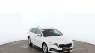 Leasing Wagon Skoda Octavia 2021
