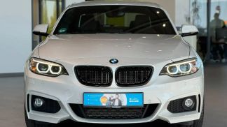 Financování Kupé BMW 220 2016