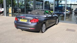 Financování Konvertibilní BMW 220 2018