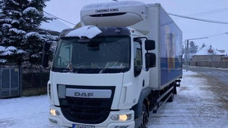 Leasing Special truck DAF LF220FA 2015