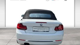 Financování Konvertibilní BMW 220 2020