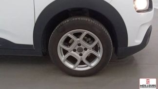 Leasing Van Citroën C4 Cactus 2019