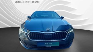 Leasing Wagon Skoda Octavia 2021