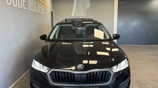 Leasing Wagon Skoda Octavia 2022