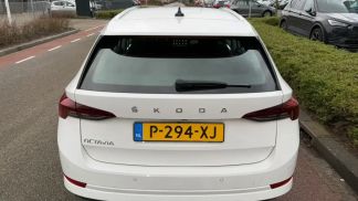 Leasing Wagon Skoda Octavia 2021