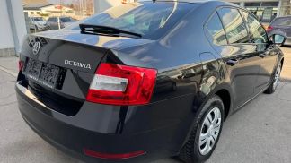 Finansowanie Sedan Skoda Octavia 2019