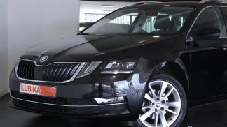 Leasing Wagon Skoda Octavia 2019