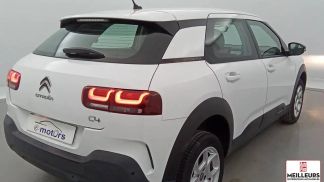 Leasing Van Citroën C4 Cactus 2019