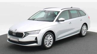Leasing Wagon Skoda Octavia 2024