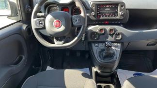 Leasing Sedan Fiat Panda 2023