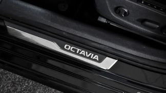 Leasing Wagon Skoda Octavia 2024