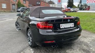 Lízing Kabriolet BMW 220 2015