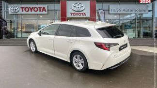 Leasing Wagon Suzuki Swace 2021