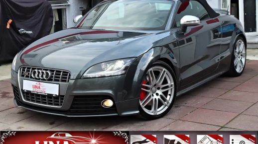 Audi TTS 2010