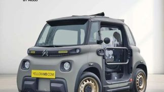 Leasing Hayon Citroën AMI 2024