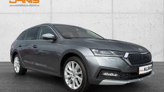 Leasing Wagon Skoda Octavia 2022