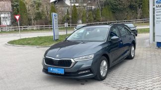 Leasing Wagon Skoda Octavia 2020
