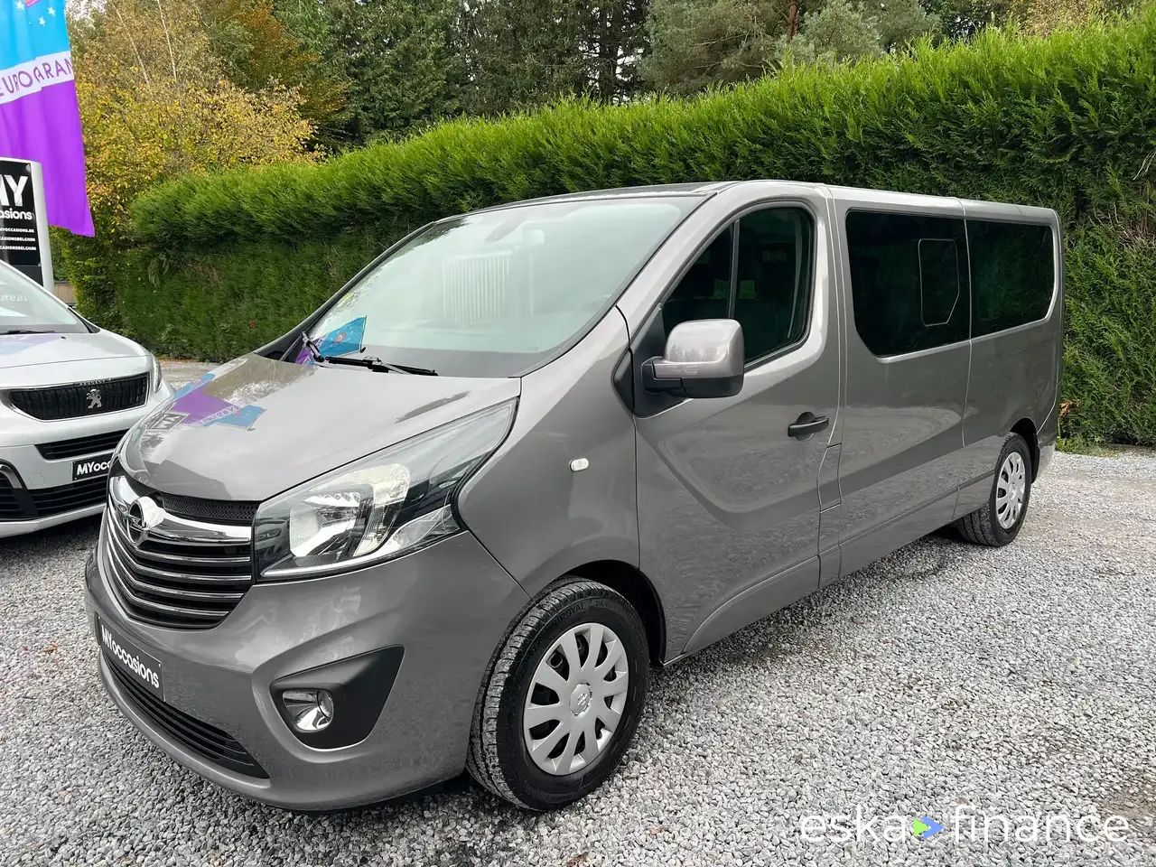 Lízing Hatchback Opel Vivaro 2017