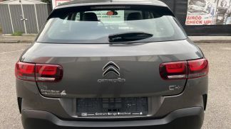 Hatchback Citroën C4 Cactus 2019