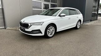 Leasing Wagon Skoda Octavia 2022