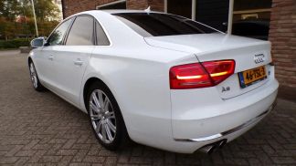 Leasing Sedan Audi A8 2010