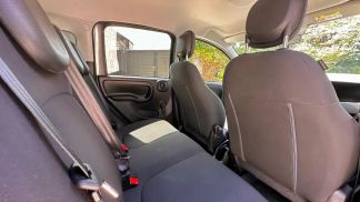 Lízing Sedan Fiat Panda 2019