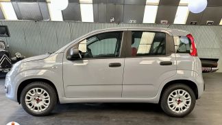 Leasing Hatchback Fiat Panda 2019