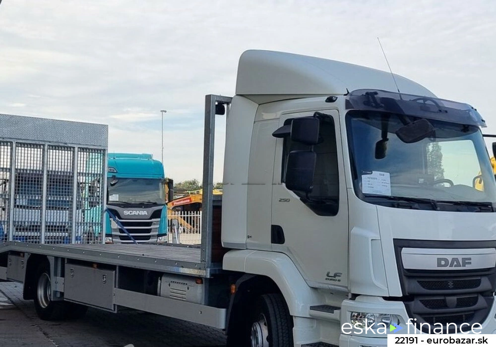 Leasing Special truck DAF LF 250 2016